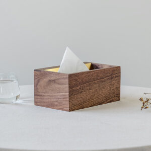 A necessary high-value tissue box in the living room
